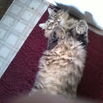 Deborah Culver - Facebook