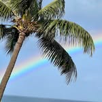 Deborah Culver Whiles - @debbie.whiles - Instagram