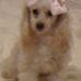 Debra Cumberland - Facebook