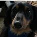 Deborah Curlin - Facebook