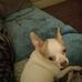 Debbie Currie - Facebook
