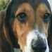 Deborah Cushman - Facebook