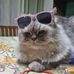 Debbie Cutajar - Facebook