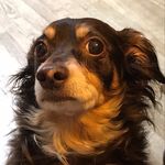 Deborah Cuthbert - @cuthbert1950 - Instagram