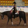 Deborah Cuthbertson - @deborah.cuthberts8 - TikTok