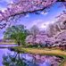Deborah Cuthbertson - Facebook