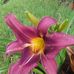 Debbie Cutright - Facebook