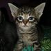 Deborah Cutshaw - Facebook