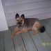 Debra Cutshaw - Facebook