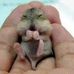 Deborah Cypert - Facebook
