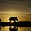 Deborah Dabney-Powell - @deborah.dabneypow - TikTok