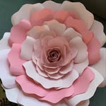 @deborahdabney2019 - Instagram