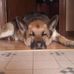 Debbie Dahms-O'Dell - Facebook