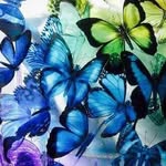 Deborah Davey - @riddler041 - Instagram