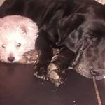 Deborah Davison - @deborah_davison - Instagram