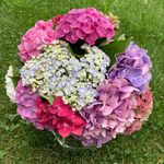 Deborah Decker - @deborahdecker6 - Instagram