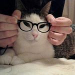 Deborah Decker - @charliedeckwire - Instagram