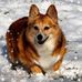 Debbie DeForest - Facebook