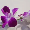 Deborah DeForest - @deborah.deforest - TikTok