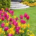 Debra Deforest Patterson - Facebook
