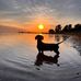 Debbie DeMarco - Facebook