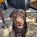 Deborah Warfield Doman - Facebook