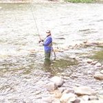 Deborah Holmquist-Denny - @holmquistdenny - Instagram