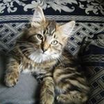 Deborah Derry - @deborahderry - Instagram