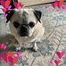 Deborah DeShong - Facebook