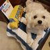 Debbie Jo Conner- Detar - Facebook