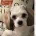 Deborah Carmela Dew - Facebook