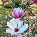 Deborah Dewar - Facebook