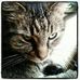 Debra Dewhurst - Facebook