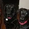 deborahdewitt222 - @deborahdewitt222 - TikTok