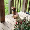 deborahdewitt248 - @deborahdewitt248 - TikTok