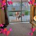 Deborah Dick - Facebook