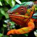 Deborah Dickens - Facebook