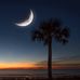 Deborah Rhoades Dicus - Facebook