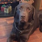 Deborah Digby - @debdigby - Instagram
