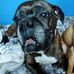 Deborah Dilbeck - Facebook