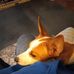 Debra Oliphant Dilbeck - Facebook