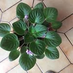 @deborahdill - Instagram
