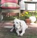 Deborah Dilley - Facebook