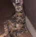 Deborah Diruit - Facebook