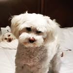 Deborah Dodge - @deborahdodge.rn - Instagram