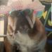 Debbie Dorn - Facebook