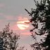 Deborah Dowell - Facebook