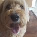 Deborah Downs - Facebook