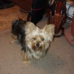 Deborah Downs - @deborah.downs.351 - Instagram