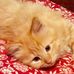Deborah Doyle - Facebook
